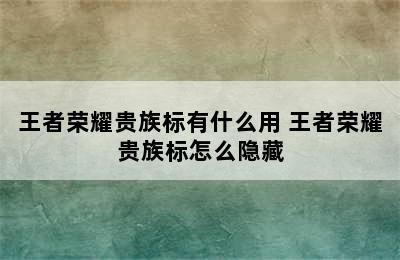 王者荣耀贵族标有什么用 王者荣耀贵族标怎么隐藏